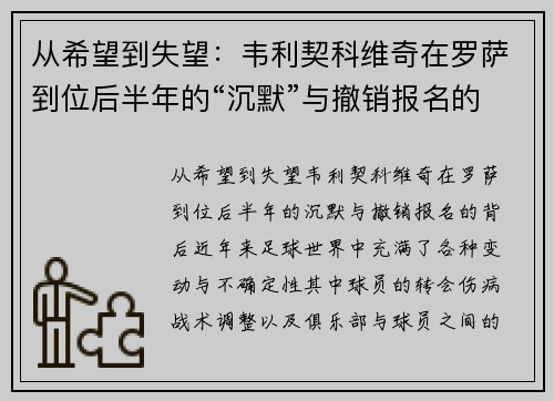 从希望到失望：韦利契科维奇在罗萨到位后半年的“沉默”与撤销报名的背后